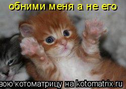 обними меня а не его... Котоматрица: обними меня а не его