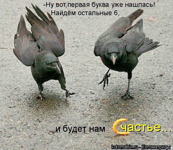 -Ну вот,первая буква уже нашлась! Найдём остальные 6, и будет нам частье...... Котоматрица: -Ну вот,первая буква уже нашлась! Найдём остальные 6, и будет нам частье...