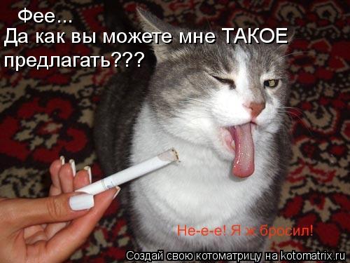 Фее... Да как вы можете мне ТАКОЕ предлагать???... Котоматрица: Фее... Да как вы можете мне ТАКОЕ предлагать???
