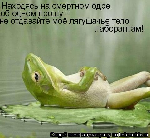 Находясь на смертном одре, об одном прошу - не отдавайте моё лягушачье тело лаборантам!... Котоматрица: Находясь на смертном одре, об одном прошу - не отдавайте моё лягушачье тело лаборантам!