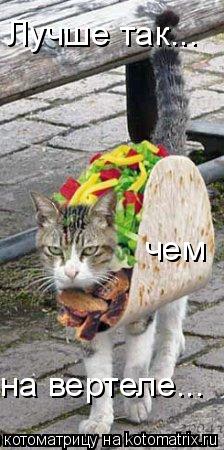 Лучше так... чем на вертеле...... Котоматрица: Лучше так... чем на вертеле...