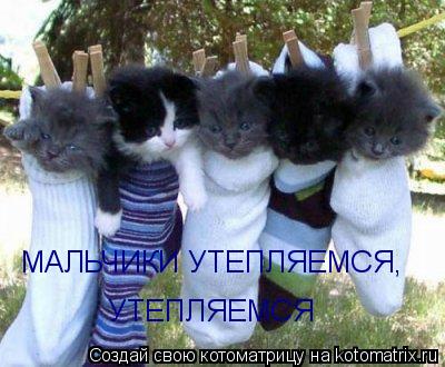 МАЛЬЧИКИ УТЕПЛЯЕМСЯ, УТЕПЛЯЕМСЯ... Котоматрица: МАЛЬЧИКИ УТЕПЛЯЕМСЯ, УТЕПЛЯЕМСЯ