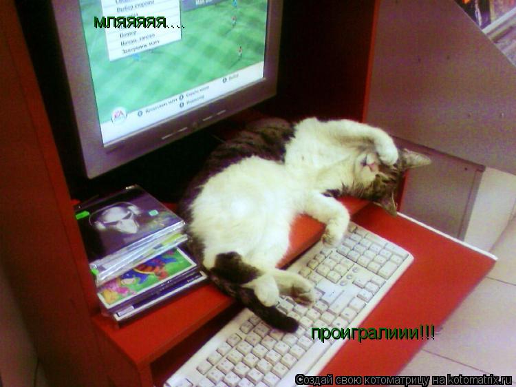 мляяяяя.... проигралиии!!!... Котоматрица: мляяяяя.... проигралиии!!!
