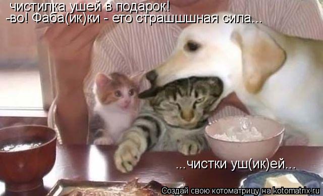 чистилка ушей в подарок! -во! Фаба(ик)ки - ето страшшшная сила... ...чистки уш(ик)ей...... Котоматрица: чистилка ушей в подарок! -во! Фаба(ик)ки - ето страшшшная сила... ...чистки уш(ик)ей...