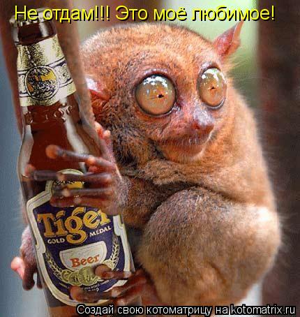 Не отдам!!! Это моё любимое!... Котоматрица: Не отдам!!! Это моё любимое!