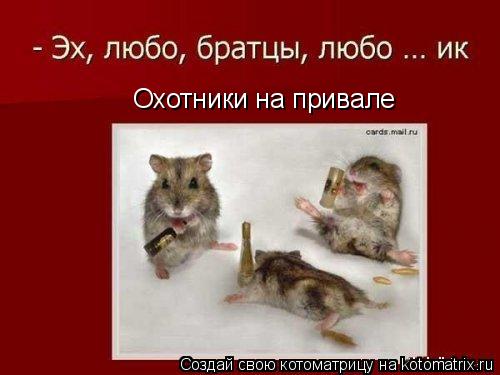 Охотники на привале... Котоматрица: Охотники на привале