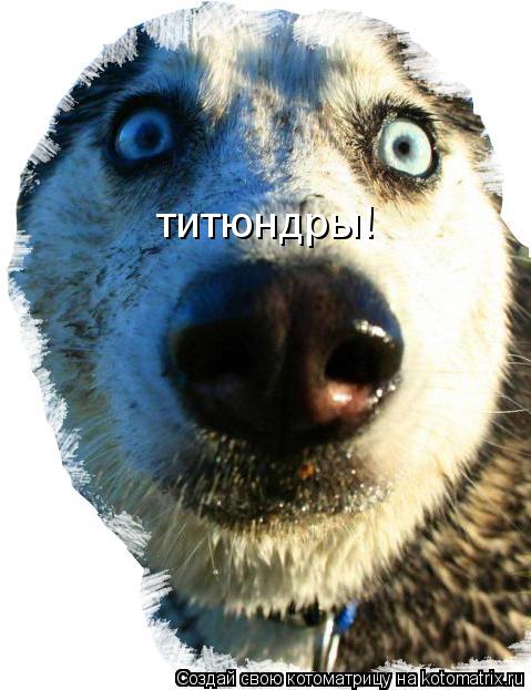 титюндры!... Котоматрица: титюндры!
