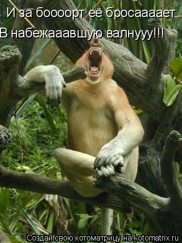 И за боооорт её бросаааает В набежааавшую валнууу!!!... Котоматрица: И за боооорт её бросаааает В набежааавшую валнууу!!!