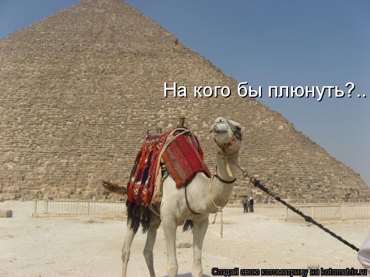 На кого бы плюнуть?..... Котоматрица: На кого бы плюнуть?..