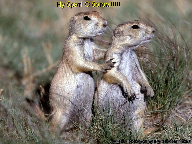 Ну брат! С богом!!!!!... Котоматрица: Ну брат! С богом!!!!!