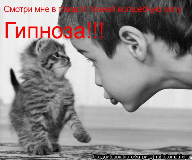 Смотри мне в глаза,И познай волшебную силу Гипноза!!!... Котоматрица: Смотри мне в глаза,И познай волшебную силу Гипноза!!!