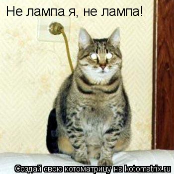 Не лампа я, не лампа!... Котоматрица: Не лампа я, не лампа!