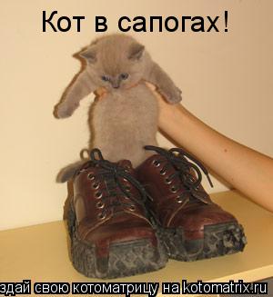 Кот в сапогах!... Котоматрица: Кот в сапогах!