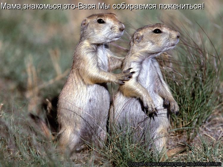 Мама,знакомься,это-Вася.Мы собираемся пожениться!... Котоматрица: Мама,знакомься,это-Вася.Мы собираемся пожениться!