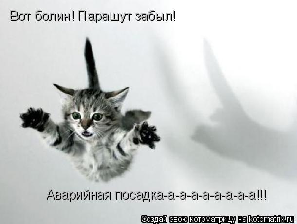 Вот болин! Парашут забыл! Аварийная посадка-а-а-а-а-а-а-а-а!!!... Котоматрица: Вот болин! Парашут забыл! Аварийная посадка-а-а-а-а-а-а-а-а!!!