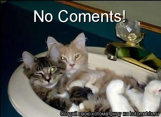 No Coments!... Котоматрица: No Coments!