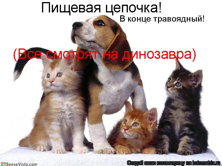 Пищевая цепочка! В конце травоядный! (Все смотрят на динозавра)... Котоматрица: Пищевая цепочка! В конце травоядный! (Все смотрят на динозавра)