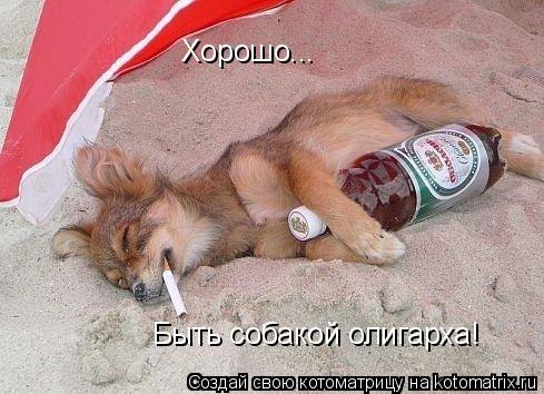 Хорошо... Быть собакой олигарха!... Котоматрица: Хорошо... Быть собакой олигарха!