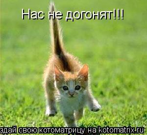 Нас не догонят!!!... Котоматрица: Нас не догонят!!!