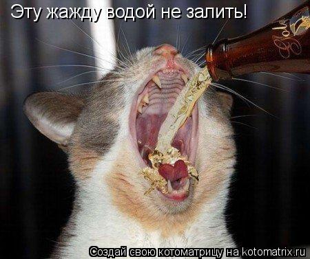 Эту жажду водой не залить!... Котоматрица: Эту жажду водой не залить!