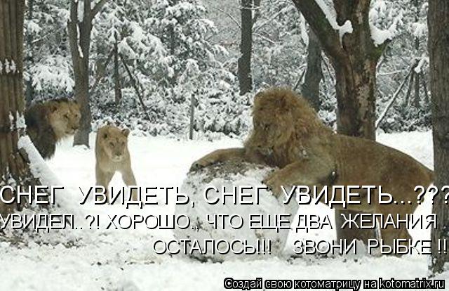 СНЕГ УВИДЕТЬ, СНЕГ УВИДЕТЬ...???!! УВИДЕЛ..?! ХОРОШО., ЧТО ЕЩЕ ДВА ЖЕЛАНИЯ ОСТАЛОСЬ!!! ЗВОНИ Р... Котоматрица: СНЕГ УВИДЕТЬ, СНЕГ УВИДЕТЬ...???!! УВИДЕЛ..?! ХОРОШО., ЧТО ЕЩЕ ДВА ЖЕЛАНИЯ ОСТАЛОСЬ!!! ЗВОНИ РЫБКЕ !!!