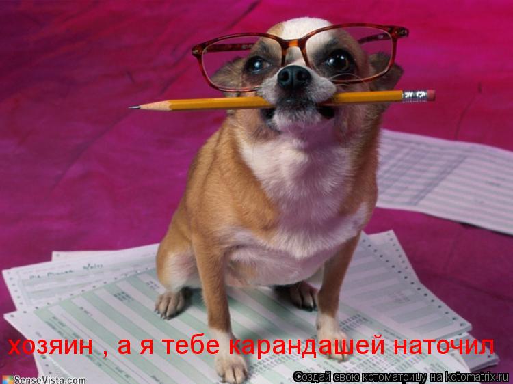 хозяин , а я тебе карандашей наточил... Котоматрица: хозяин , а я тебе карандашей наточил