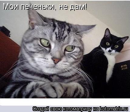 Мои печеньки, не дам!... Котоматрица: Мои печеньки, не дам!