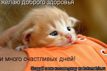 желаю доброго здоровья и много счастливых дней!... Котоматрица: желаю доброго здоровья и много счастливых дней!