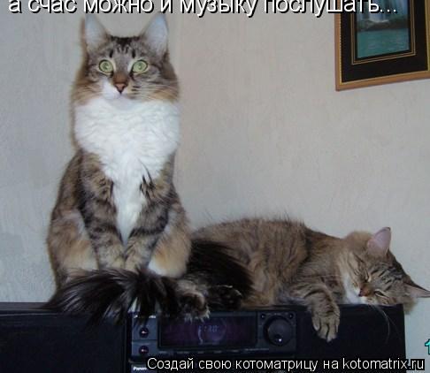 а счас можно и музыку послушать...... Котоматрица: а счас можно и музыку послушать...