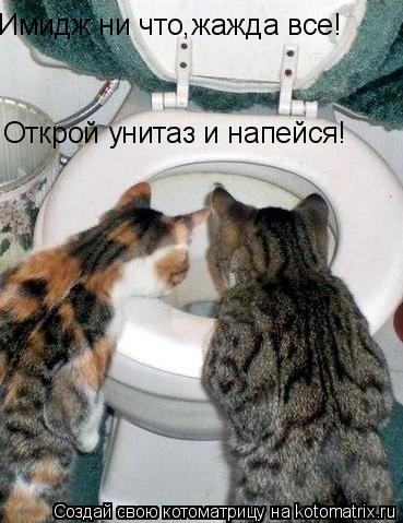 Имидж ни что,жажда все! Открой унитаз и напейся!... Котоматрица: Имидж ни что,жажда все! Открой унитаз и напейся!