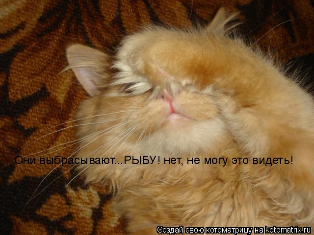 Они выбрасывают...РЫБУ! нет, не могу это видеть!... Котоматрица: Они выбрасывают...РЫБУ! нет, не могу это видеть!