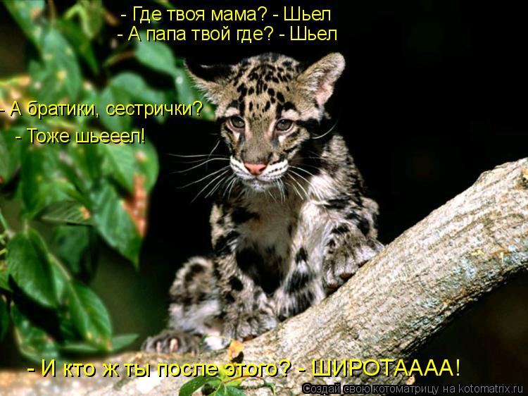 - Где твоя мама? - Шьел - А папа твой где? - Шьел - А братики, сестрички? - Тоже шьееел! - И кто ж ты... Котоматрица: - Где твоя мама? - Шьел - А папа твой где? - Шьел - А братики, сестрички? - Тоже шьееел! - И кто ж ты после этого? - ШИРОТАААА!