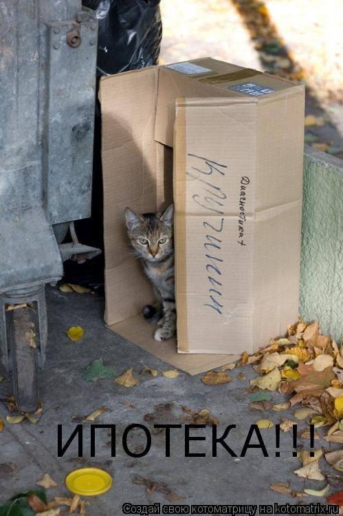 ИПОТЕКА!!!... Котоматрица: ИПОТЕКА!!!