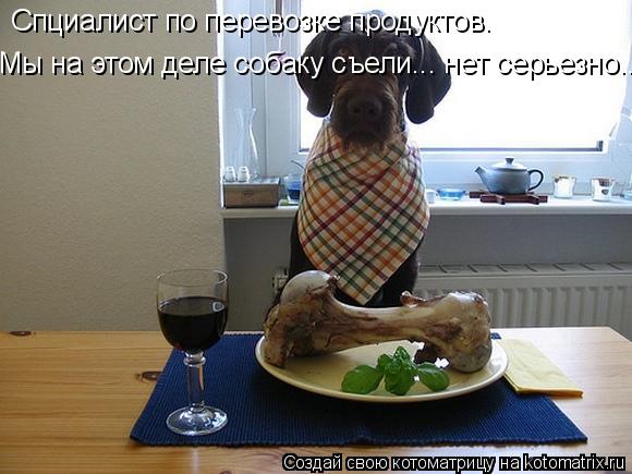 Спциалист по перевозке продуктов. Мы на этом деле собаку съели... нет серьезно...... Котоматрица: Спциалист по перевозке продуктов. Мы на этом деле собаку съели... нет серьезно...