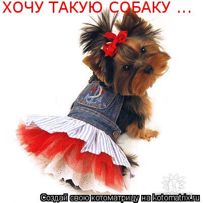 ХОЧУ ТАКУЮ СОБАКУ ...... Котоматрица: ХОЧУ ТАКУЮ СОБАКУ ...