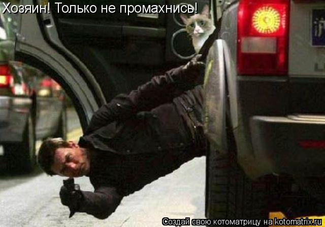 Хозяин! Только не промахнись!... Котоматрица: Хозяин! Только не промахнись!