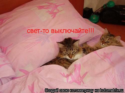свет-то выключайте!!!... Котоматрица: свет-то выключайте!!!