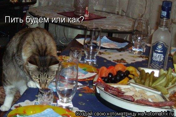 Пить будем или как?... Котоматрица: Пить будем или как?