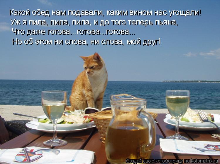 Какой обед нам подавали, каким вином нас угощали! Уж я пила, пила, пила, и до того теперь пьяна, Что ... Котоматрица: Какой обед нам подавали, каким вином нас угощали! Уж я пила, пила, пила, и до того теперь пьяна, Что даже готова...готова...готова... Но об этом ни