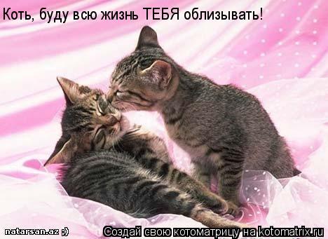 Коть, буду всю жизнь ТЕБЯ облизывать!... Котоматрица: Коть, буду всю жизнь ТЕБЯ облизывать!