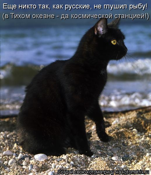 Еще никто так, как русские, не глушил рыбу! (в Тихом океане - да космической станцией!)... Котоматрица: Еще никто так, как русские, не глушил рыбу! (в Тихом океане - да космической станцией!)