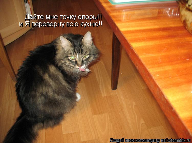 Дайте мне точку опоры!! и Я переверну всю кухню!!... Котоматрица: Дайте мне точку опоры!! и Я переверну всю кухню!!