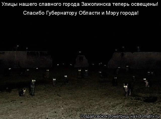 Улицы нашего славного города Зажопинска теперь освещены! Спасибо Губернатору Области и Мэру города!... Котоматрица: Улицы нашего славного города Зажопинска теперь освещены! Спасибо Губернатору Области и Мэру города!