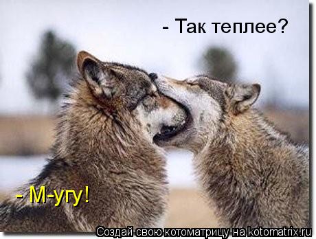 - Так теплее? - М-угу!... Котоматрица: - Так теплее? - М-угу!
