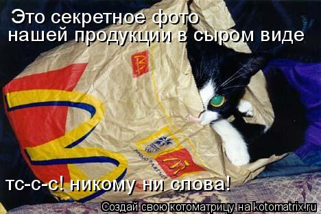 Это секретное фото нашей продукции в сыром виде тс-с-с! никому ни слова!... Котоматрица: Это секретное фото нашей продукции в сыром виде тс-с-с! никому ни слова!
