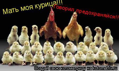 Мать моя курица!!! Говорил предохраняйся!!!... Котоматрица: Мать моя курица!!! Говорил предохраняйся!!!