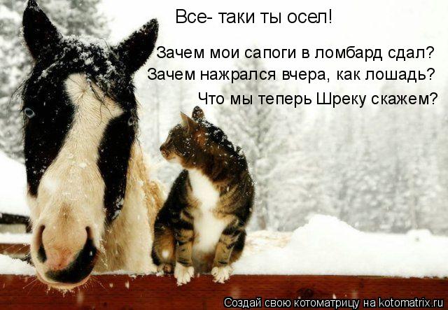 Все- таки ты осел! Зачем мои сапоги в ломбард сдал? Что мы теперь Шреку скажем? Зачем нажрался вчера... Котоматрица: Все- таки ты осел! Зачем мои сапоги в ломбард сдал? Что мы теперь Шреку скажем? Зачем нажрался вчера, как лошадь?
