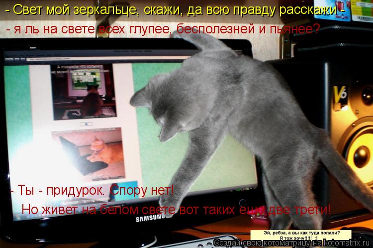 - Свет мой зеркальце, скажи, да всю правду расскажи - - я ль на свете всех глупее, бесполезней и пья... Котоматрица: - Свет мой зеркальце, скажи, да всю правду расскажи - - я ль на свете всех глупее, бесполезней и пьянее? - Ты - придурок. Спору нет! Но живет на б