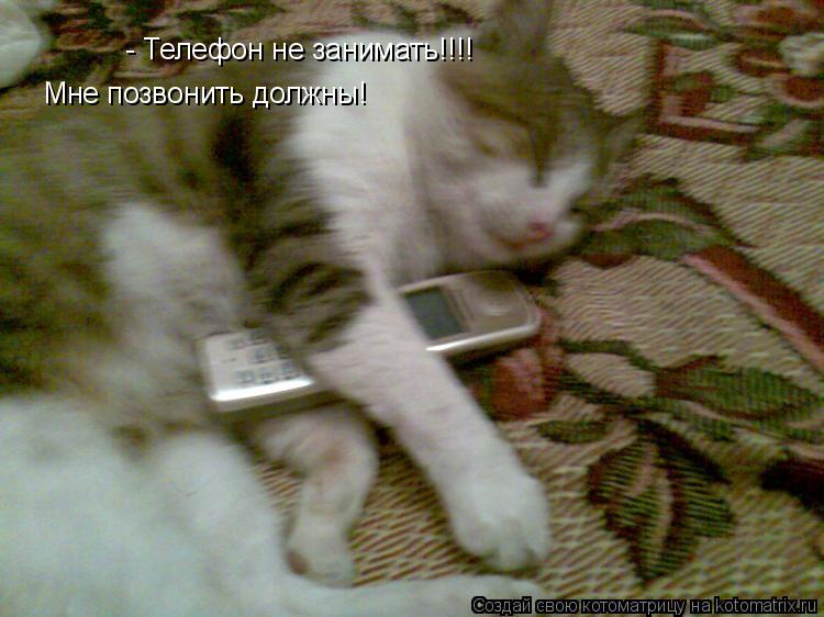 - Телефон не занимать!!!! Мне позвонить должны!... Котоматрица: - Телефон не занимать!!!! Мне позвонить должны!