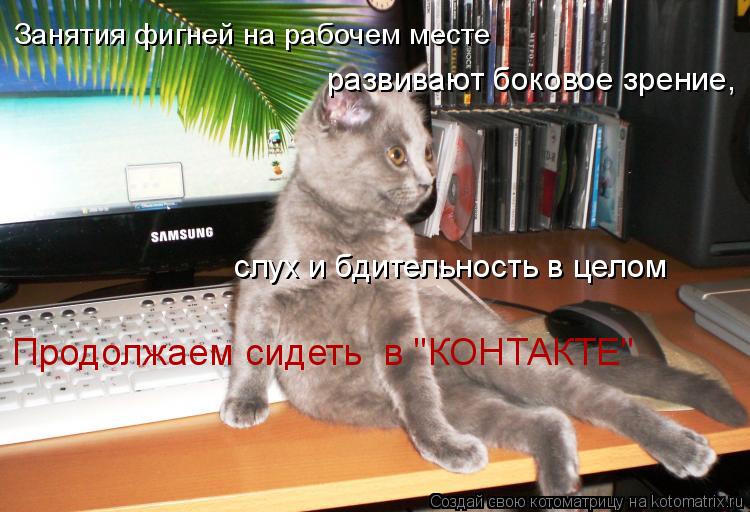 Занятия фигней на рабочем месте развивают боковое зрение, Продолжаем сидеть в "КОНТАКТЕ" слух и бди... Котоматрица: Занятия фигней на рабочем месте развивают боковое зрение, Продолжаем сидеть в "КОНТАКТЕ" слух и бдительность в целом